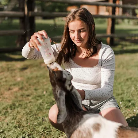 Lodge Roulotte Au Coeur Des Animaux - Sejour Insolite
