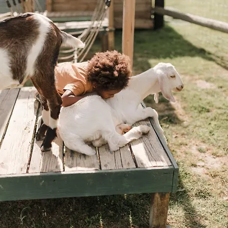 Roulotte Au Coeur Des Animaux - Insolite Lodge *