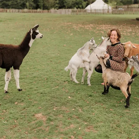 Lodge Roulotte Au Coeur Des Animaux - Insolite Champfrémont