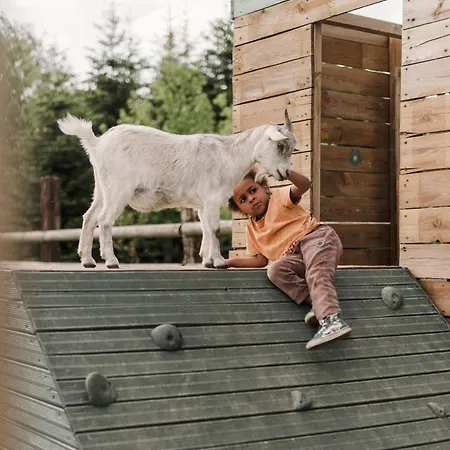 Roulotte Au Coeur Des Animaux - Insolite *