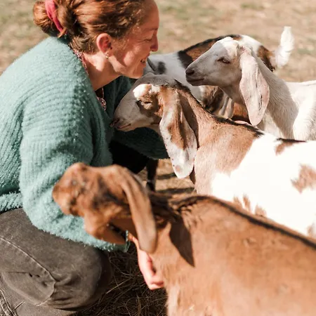 Lodge Roulotte Au Coeur Des Animaux - Insolite